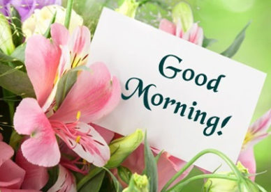 Flowers Romantic Morning from Good morning Love Quotes Images